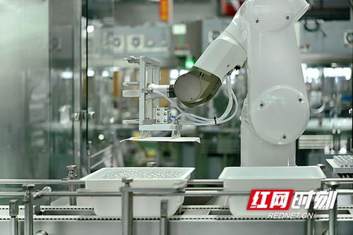搶占智高點 智能制造驅動寧鄉經開區高質量發展，智能機器人研發成引擎