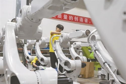 融合產業與科創，推動智能機器人產業集群發展